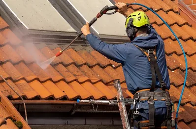 Démoussage et hydrofuge de toiture à Sauvagnat